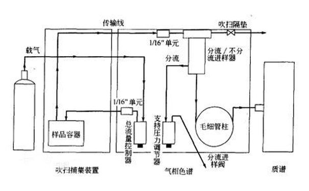 吹掃捕集自動進樣器和進樣口可調壓的氣相色譜基本結構